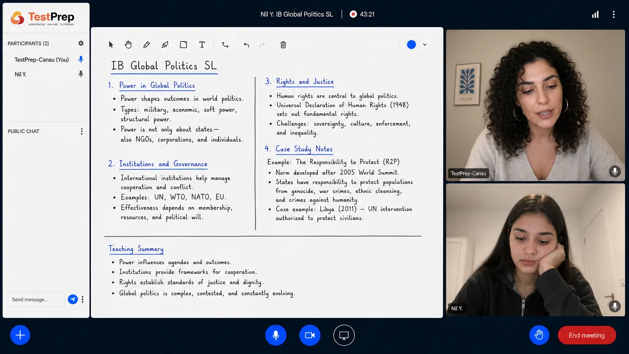 IB IB Global Politics SL Tutoring SL — one-to-one lesson